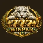 winpkr777-game-logo